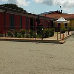 Bini Sarzana