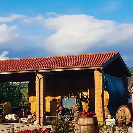 Agriturismo Bini *